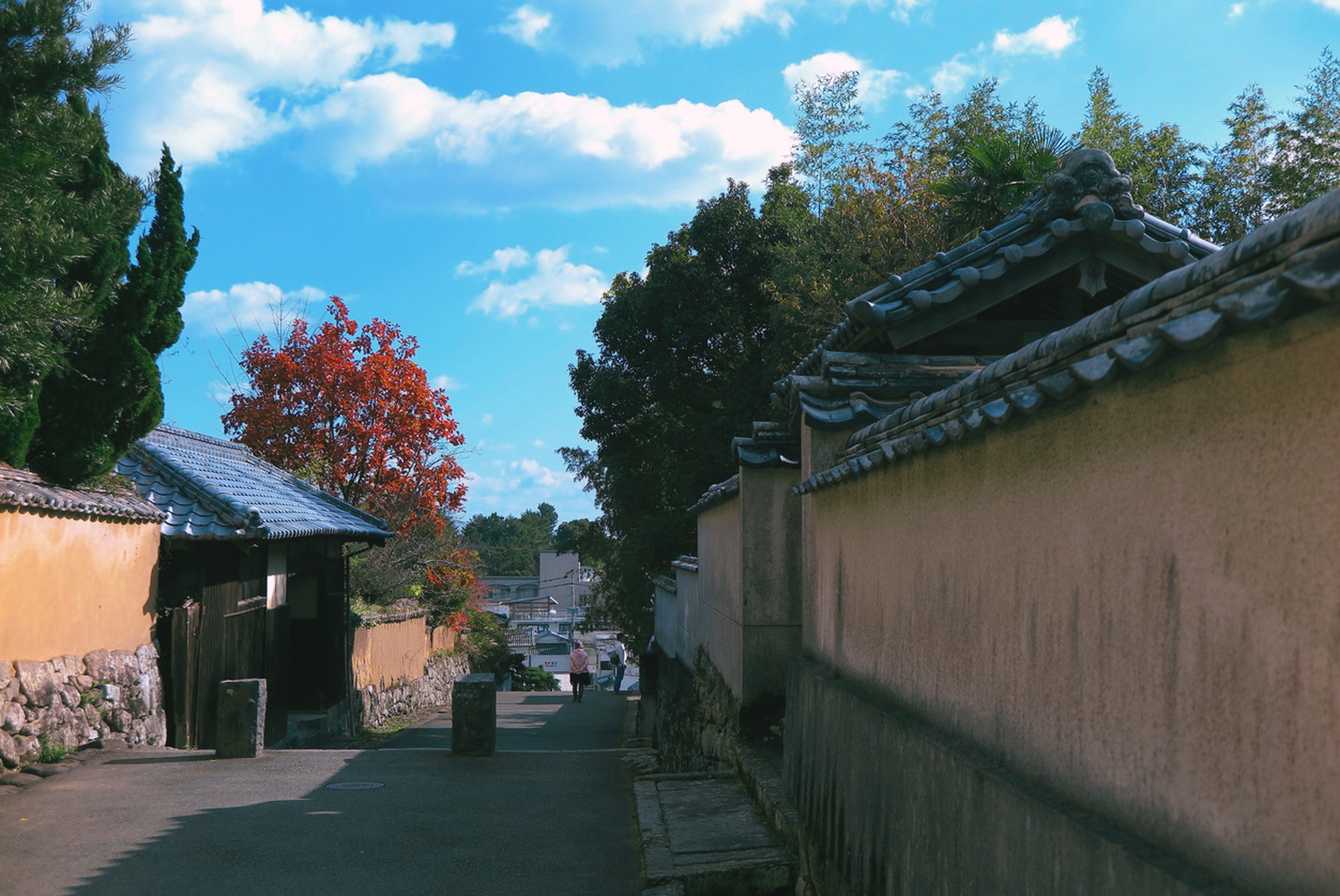 絶景の奈多宮海岸訪問と杵築城下町散策